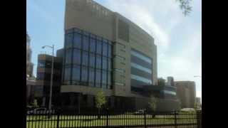 Specialty Contractor-Exterior Finishes Wisconsin Energy Institute H.j. Martin And Son