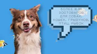 Новый магазин Гарфилд в Минске! м. Восток screenshot 2