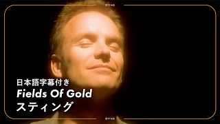 【和訳】Sting - Fields Of Gold / スティング - フィールズ・オブ・ゴールド