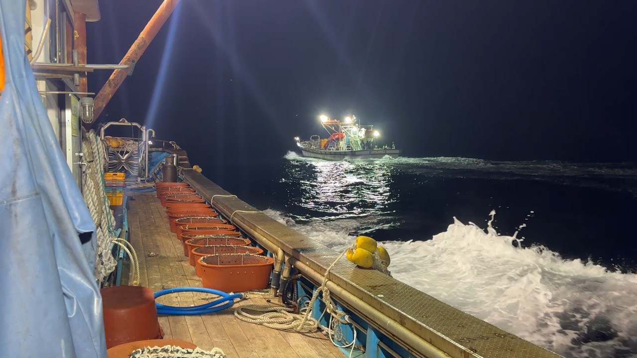 Опыт ловли рыбы на стационарном донём в Корее и способы её продажи — Ассоциация рыбаков SUHYUP.