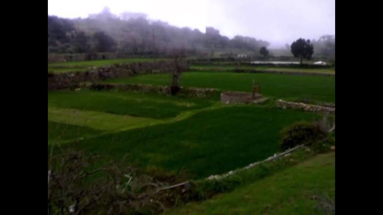 اينحن زهران مايفعل فعايلنا ولارجال (على العود) فنان الديرة