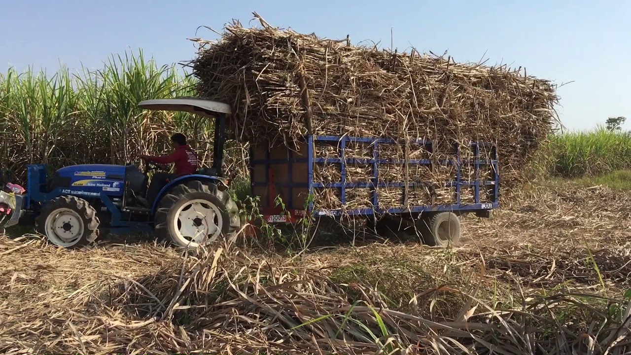 มาลุ้นนิวฮอลแลนด์ลากสาลี่ออกจากไร่ทางชันทางแคบเสียวมาก