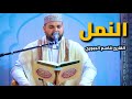 سورة النمل القارئ قاسم الجبوري 