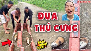 Trò Chơi Đường Đua Thú Cưng Hài Hước Cùng Các Bé Bà | Về Già Phải Vui screenshot 4