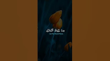 #قرآن #تلاوة_خاشعة #quran #yasseraldossary #حالات_واتس #المصحف #allah #duet #اكسبلور
