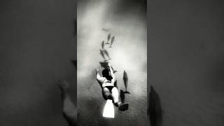 PART 2: DOLPHIN SWIM CHANGED HER LIFE