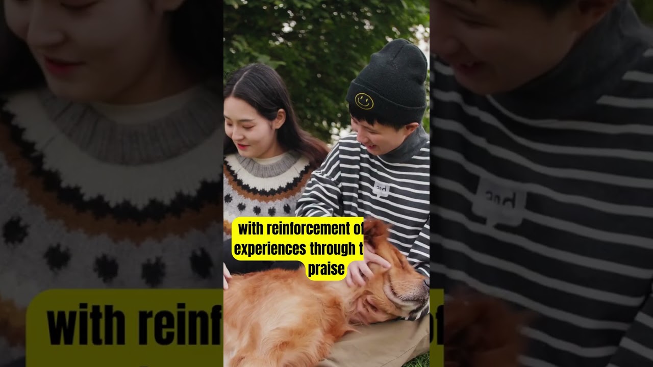 What is the best way to socialize a puppy? 