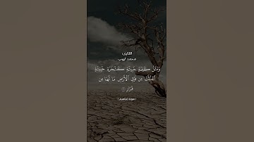سورة إبراهيم آيه ٢٦ #القرآن_الكريم #العراق #الجزائر #لايك #اكسبلور #المغرب #تيك_توك #راحة_نفسية #مصر