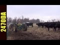 Hmong Oklahoma Cattle Feeding Time - 247 OutDoor Addiction Hmong Oklahoma Cattle Feeding Time - 247 OutDoor Addiction