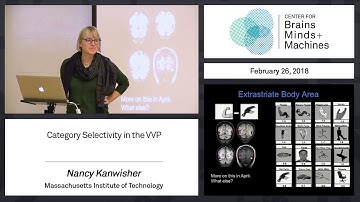 4.3 - Category Selectivity in the VVP