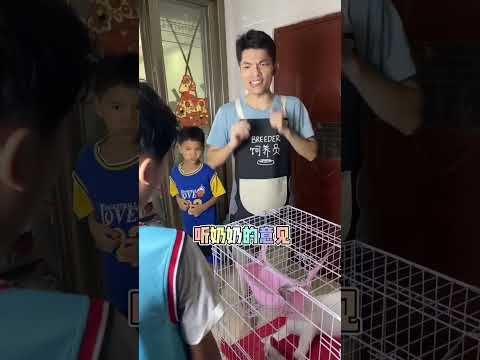 上次老爸想把刚养大的流浪小猫送别人，大家意见分歧，这次居然还要把猫猫送走#come的喂 #come喂改编歌 #搞笑家庭 #全民抖包袱【父痴子笑】 #不扫兴的爸爸妈妈#温馨的家庭时刻