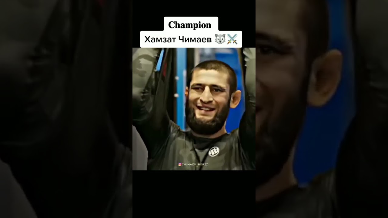Хамзат Чимаев 🔝