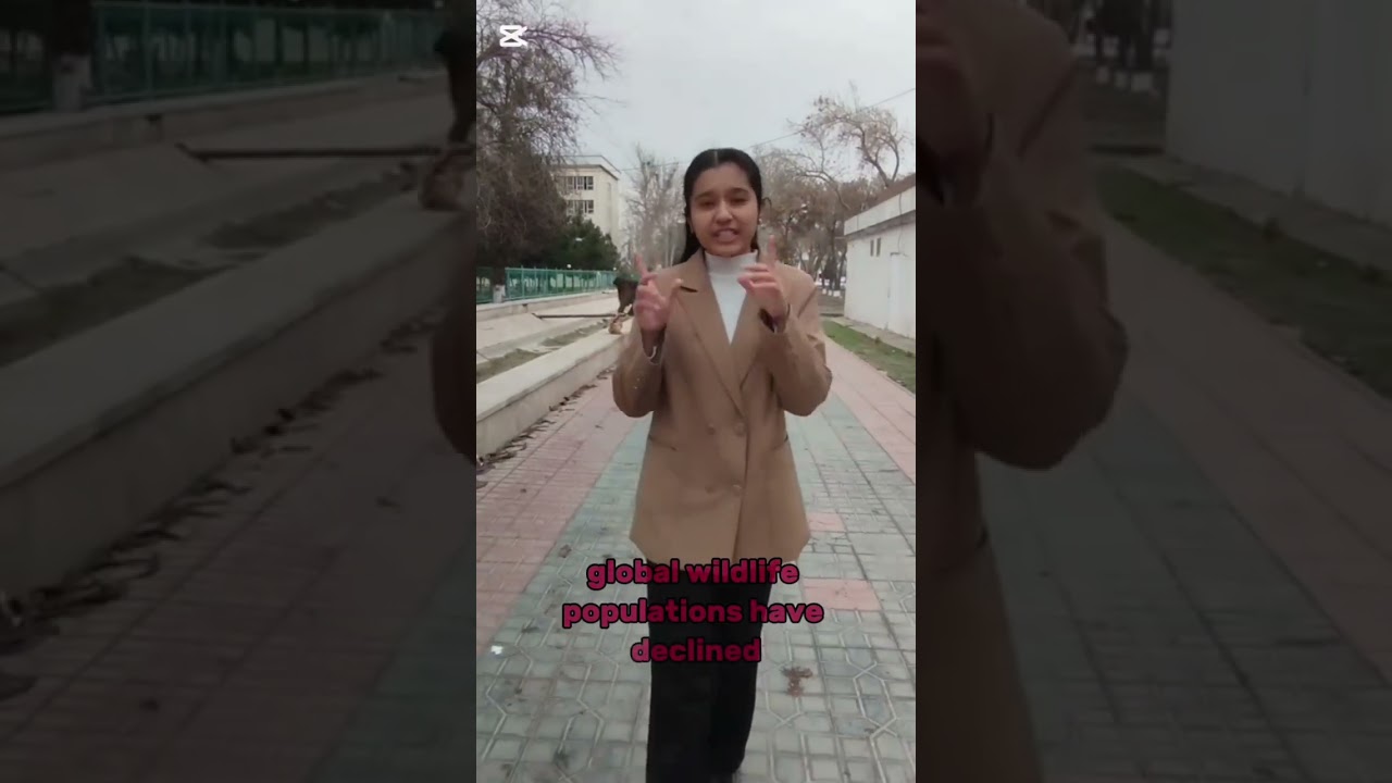 Modern ecological problems