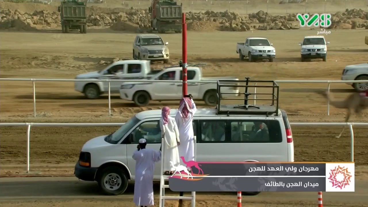 مهرجان ولي عهد السعودية للهجن الفترة الصباحية يوم 11 أغسطس 2018 Youtube