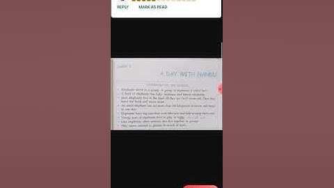 A day with Nandu sumup video