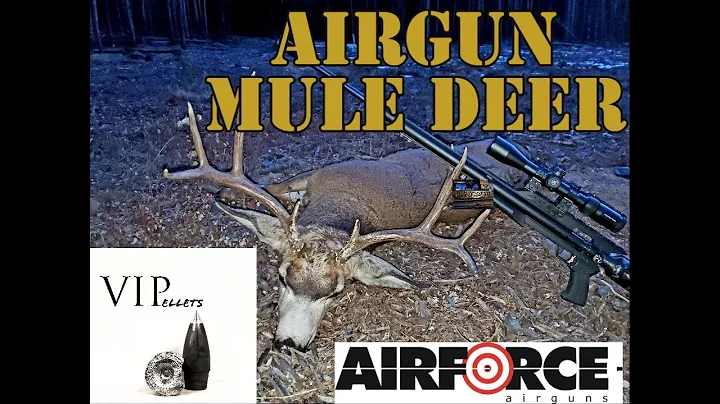 AIRGUN MULE DEER HUNT. AIRFORCE TEXAN BIG BORE .457 DIY, hunting lss ss Piledriver hammer zues