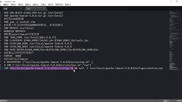28 尚硅谷 Docker DockerFile案例 自定义的tomcat9