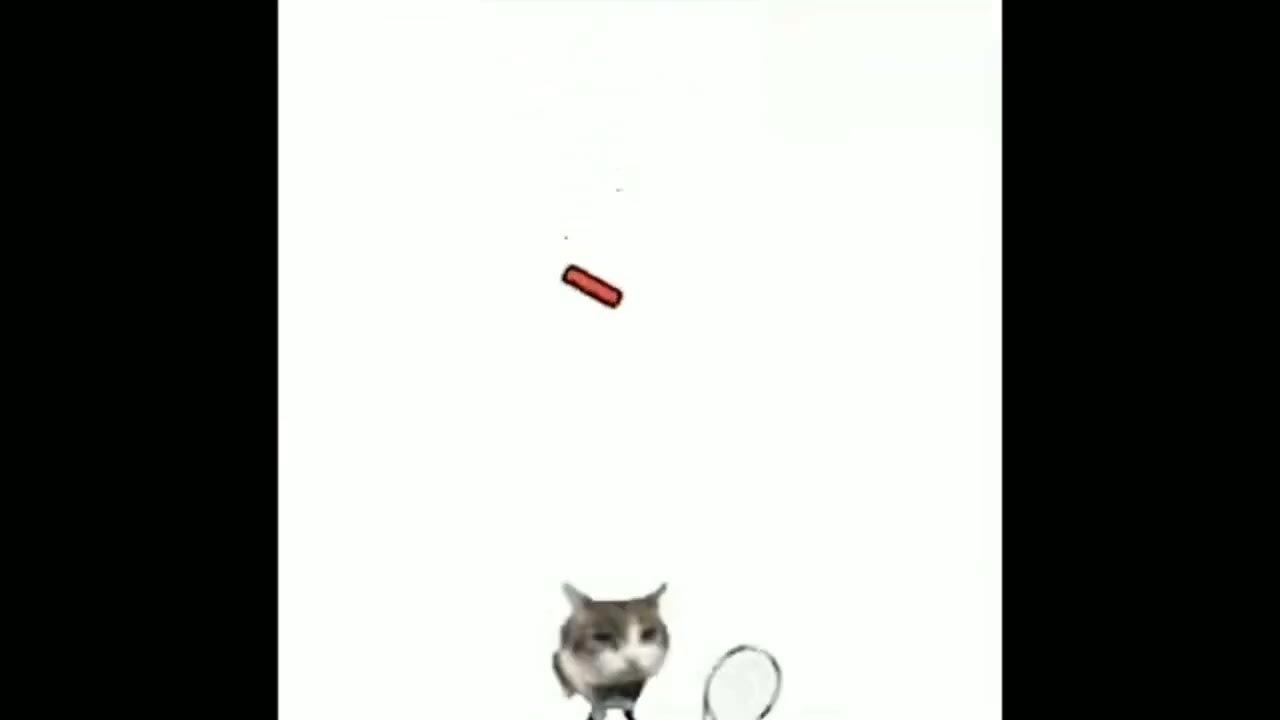 Сообщество Steam :: :: Vibing Cat