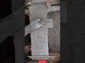 Mason's Secret: Perfectly Leveling Concrete Column Plaster | Construction Tips! #workers #tools