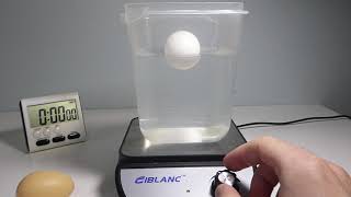 DRAFT Plastic P.P. Ball and Egg in Water Vortex on Magnetic Stirrer. Rod too Big to Work. Both Spin.