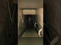 Disturbing images with creepy Extermination ps2 music ##creepy #paranoia