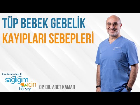 Tüp Bebek Gebelik