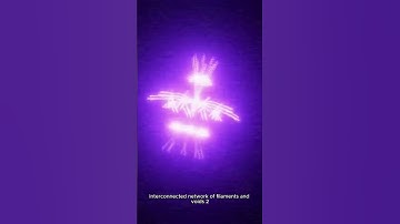 The Cosmic Web: The Universe’s Hidden Structure 🌌🕸️ #shorts #sceincefacts  #darkenergy #darkmatter