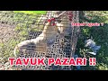 SAKARYA TAVUK PAZARI !! BOL ÇEŞİT TAVUK ÖRDEK HİNDİ KAZ CİVCİV !! PORSELEN BRAHMA BİLE VAR ??#tavuk