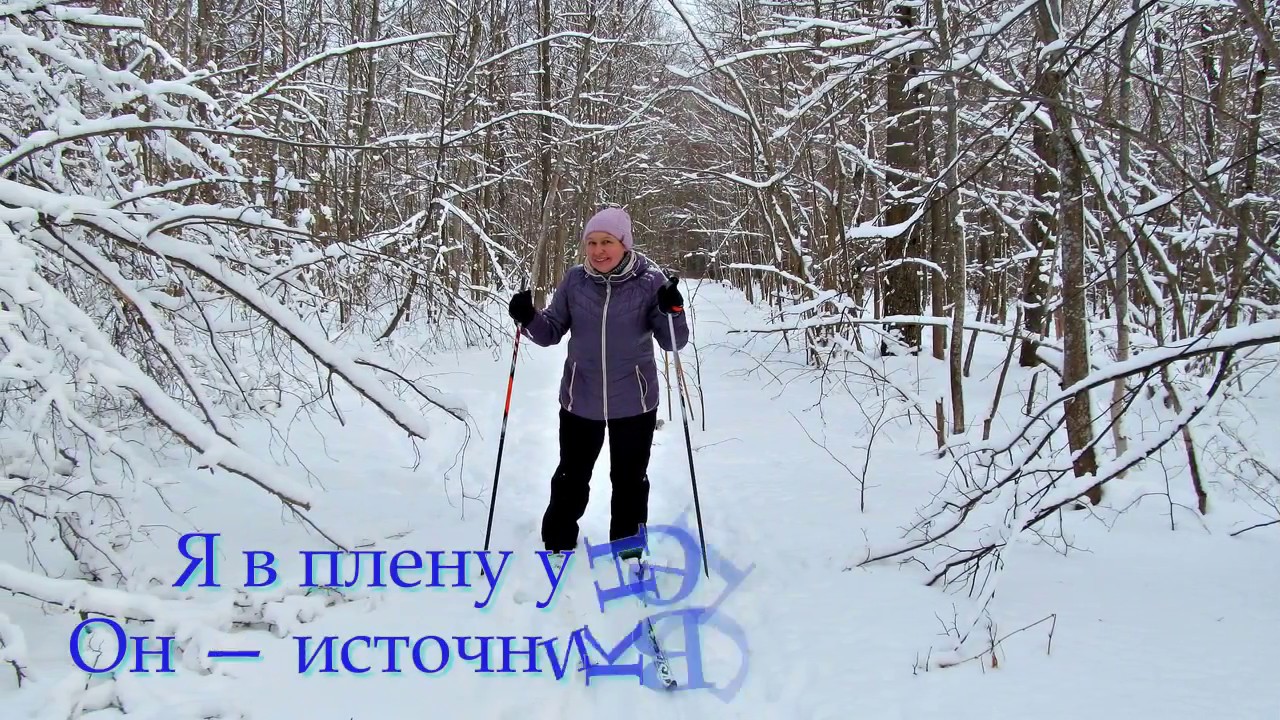 Прогулка по зимнему лесу. - YouTube