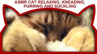 ASMR Cat Relaxing, Kneading, purring and suckling a blanket sound