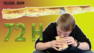 72 VALANDAS IŠGYVENAU SU KEBABU