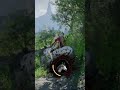 Crimson Desert Get to Ride Spotted Dots New Horse #crimsondesertgameplay