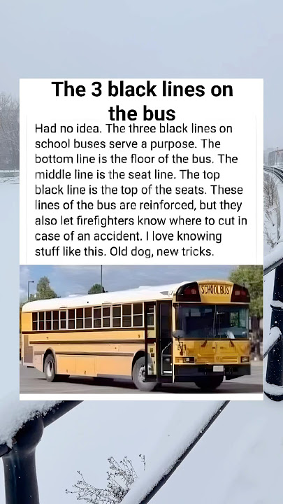 I never knew this about school buses 😳 #educational #todayilearned