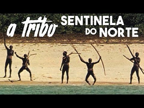 Vídeo: No Norte Do Brasil, Foi Descoberta Uma Tribo Que Nunca Teve Contato Com A Civilização - Visão Alternativa