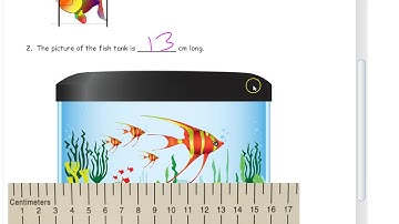 lesson 3 homework module 2 grade 2