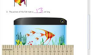 lesson 3 homework module 2 grade 2