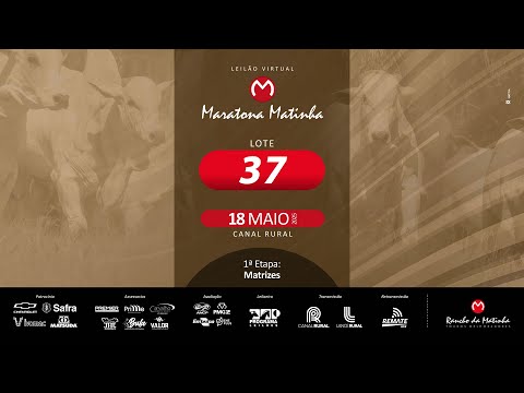 LOTE 37