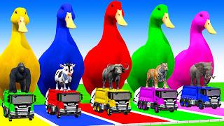 Long Slide Game Gorilla and T-Rex Amazing Color Change Race | 3D Animals Game screenshot 5