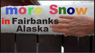 More snow in Fairbanks Alaska