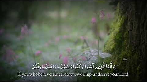 القاريء عبدالرحمن مسعد {يا ايها الذين امنوا اركعوا واسجدوا و اعبدوا ربكم } حالات واتساب قرآن كريم