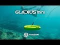 GLADIUS mini Tutorial ES