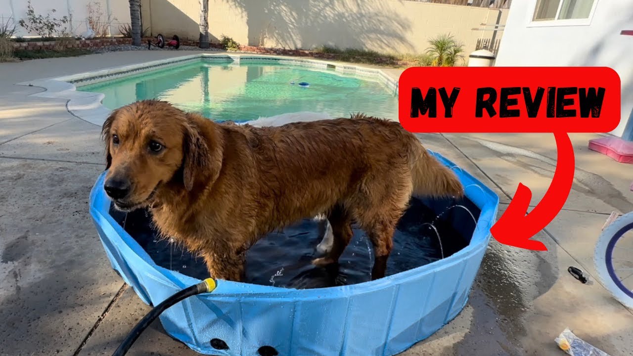 Eooqi 63" Large Dog Pool with Sprinklers