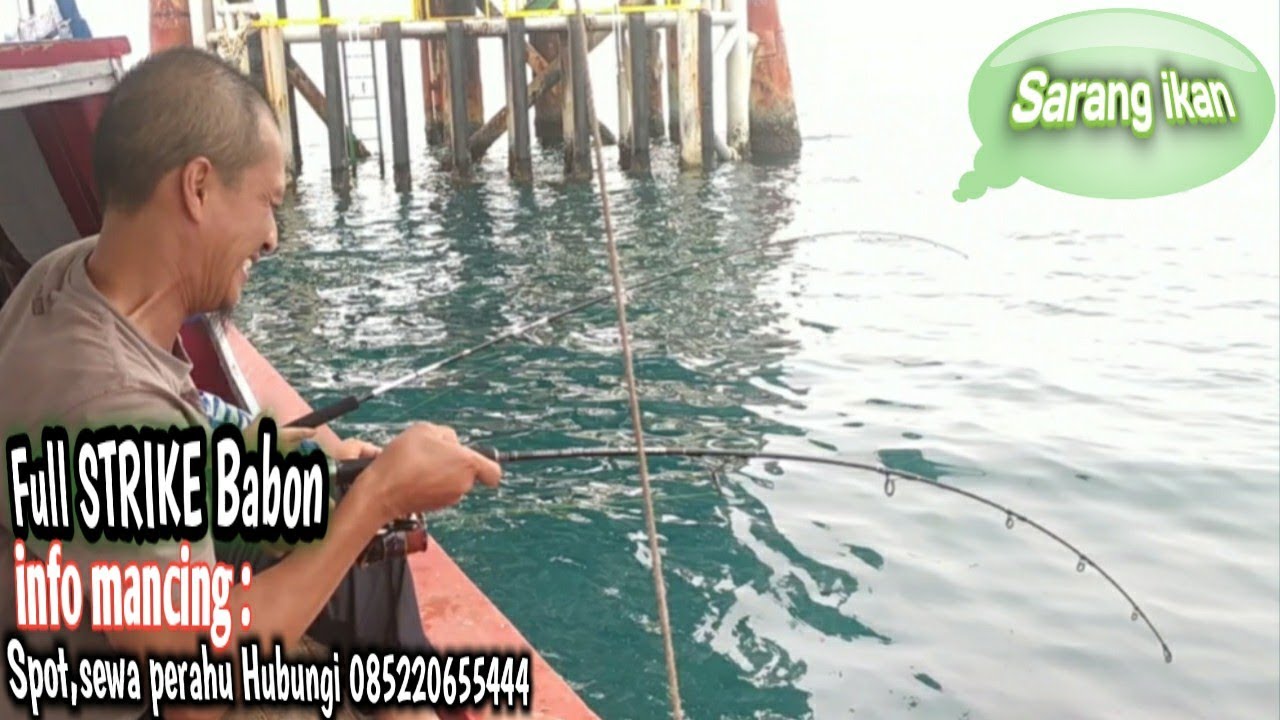 Mencoba Mancing di pondok bali subang||dapat ikan Babon semua||part 1