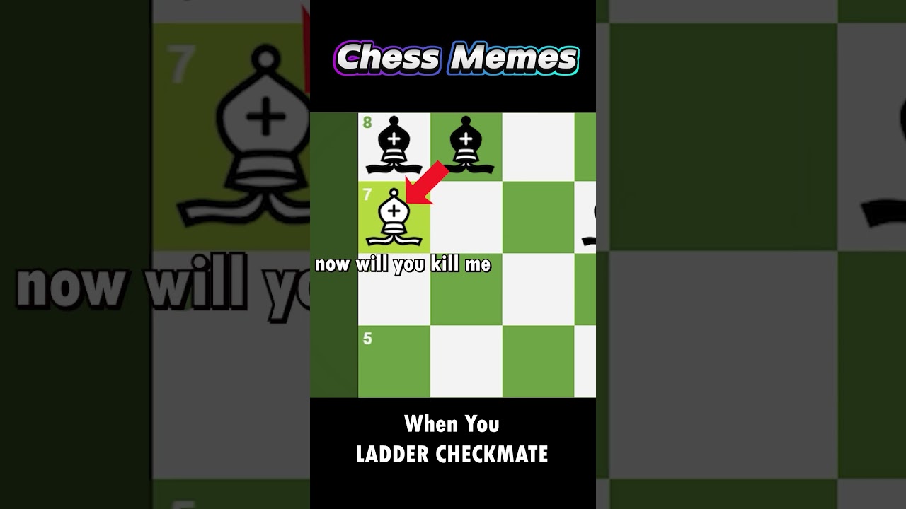 Want me to take care of it? | Chess Memes