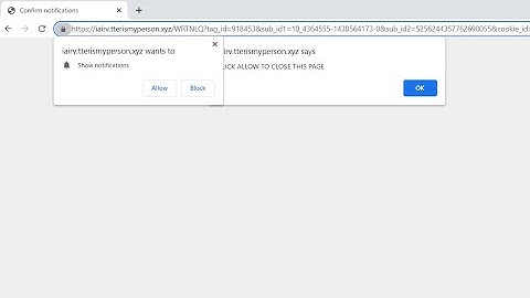 Tterismyperson.xyz browser notifications - how to remove?