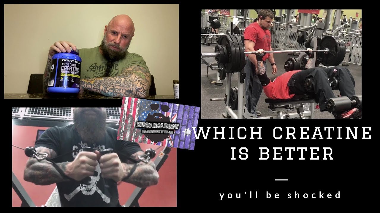 Creatine Monohydrate Vs Creatine Hydrochloride Vs Kre Alkalyn Creatine
