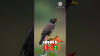 RINGTONEN OTIFICATION ATTITUDE MESSAGERINGTONE RINGTONE#ringtone #viralvideo#bgm#trending#love#music