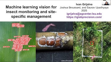 Machine learning vision for insect monitoring and site-specific management