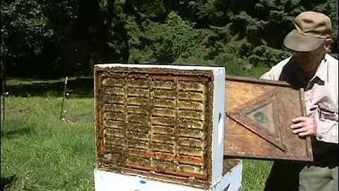 Hogg Half Comb Honey Super Kit Instructional Video