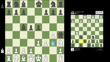 Chess with a teammate (Bughouse Variant)